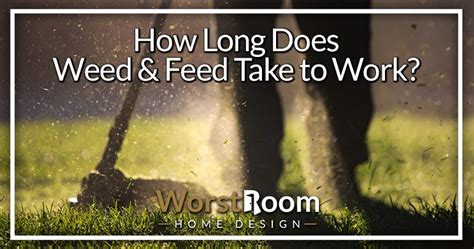 How Long Does Weed And Feed Take To Work Worst Room