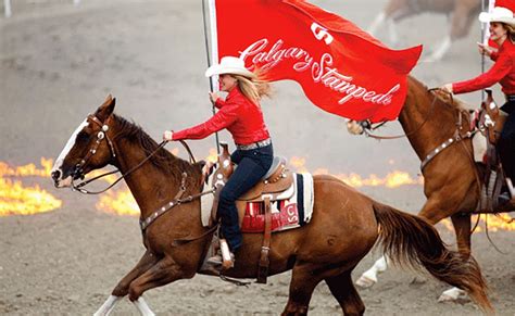 Stampede meaning, definition, what is stampede: Calgary Stampede - Snaffle Travel