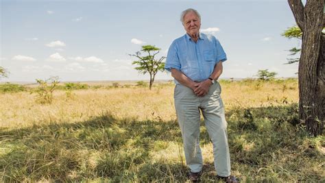 Do it for david attenborough and for. David Attenborough Warns About Life on Earth in Doc ...