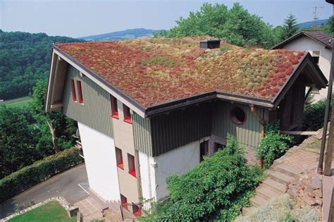 Alles was ich dabei über günstiges hausbauen gelernt habe, fasse ich zu den 15 wichtigsten tipps zusammen. Dachbegrünung im Vergleich - Endlich Natur aufs Dach ...