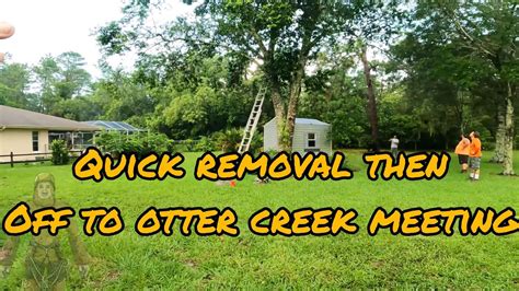 What The Hales Tree Removal In The Rain Then Off To Otter Creek