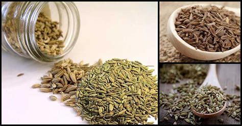 It is also one of the potent medicines to kill worms. Relief From Acidity And Heartburn May Be Found In Fennel ...