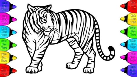 Missouri tigers since 1839 missouri state bears since 2006 monmouth hawks since 1933. Tiger Coloring Book 🐯🐅 How to draw Tiger Coloring pages ...