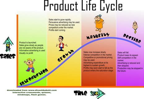 Product Life Cycle Stages And Strategies Siobhan C Scott