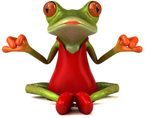 Zen Frog — Stock Photo © Julos 6059456
