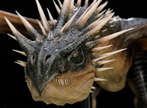 As joel realizes that there's nothing left for him underground, he decides against all logic to venture out to aimee, despite all the dangerous monsters that stand in his way. The Hungarian Horntail | Harry potter creatures, Harry potter