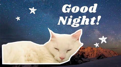 Casper Sleeping Compilation Video Cute Sleeping Persian Cat Lullaby Rockabye Baby Song