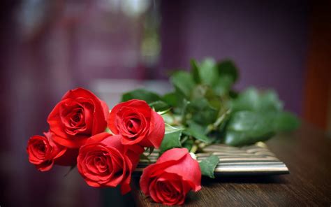 Amazing Red Roses Wallpaper