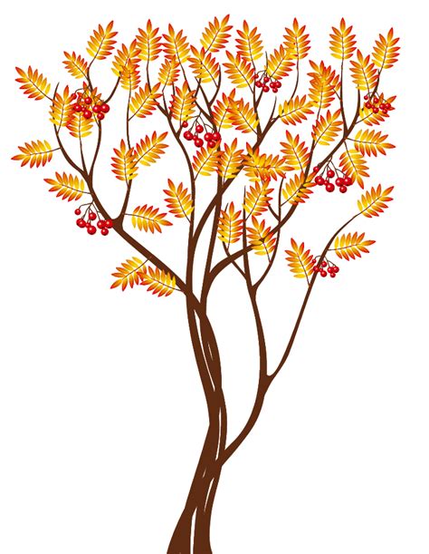 Fall Tree Tree Fall Transparent Download Rr Collections Png Clipartix