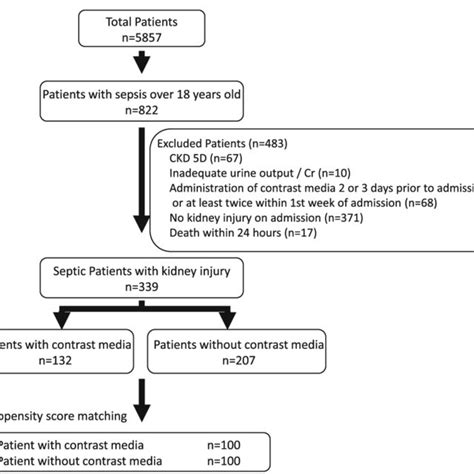 Study Inclusion Flow Chart Ckd Chronic Kidney Disease Aki Acute