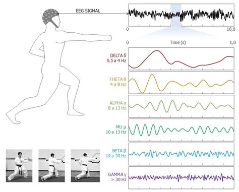 Brain Waves Classification The Frequency Spectrum Breakdown Of A