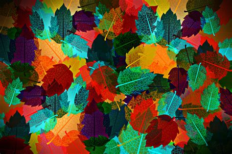 Free Photo Colorful Autumn Leaves Pattern Abstract