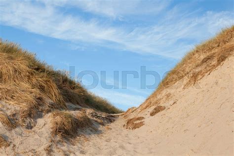 Dunes In Denmark Stock Image Colourbox