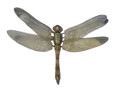 Dragonfly Png Image Dragonfly Wings Dragonfly Wings Png
