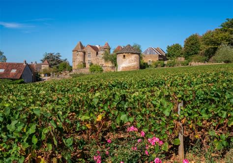 Highlights Of Burgundy France La Vie Est Belle Travelsquire