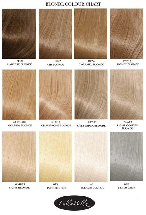 Different Types Of Bleach Blonde Dye In 2023 Blonde Hair Color Chart Hair Color Caramel