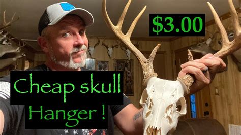 How To Mount A Euro Deer Skull Diy Hanger Youtube
