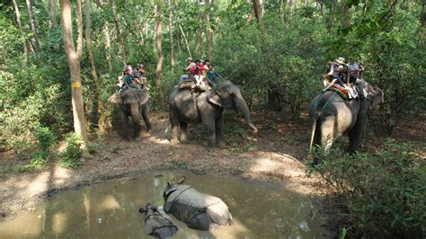 Chitwan Jungle Safari Tours Package Cost Of Wildlife Tour Nepal