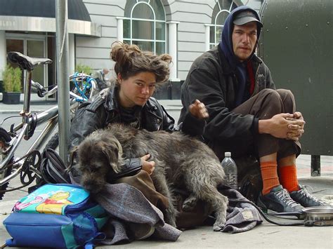 Homeless Couple With Dog In San Francisco Homeless Couple Flickr