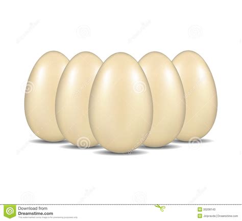 Eggs Standing In The Formation Stock Vector Illustration Of Realistic