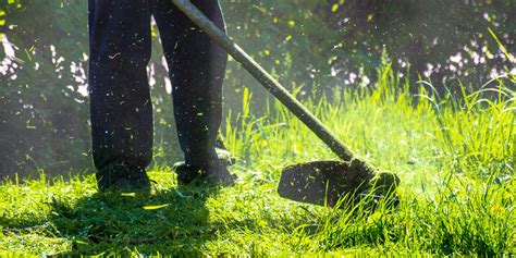 Lawn Care Services Maintenance And Fertilizer The Hoster Group
