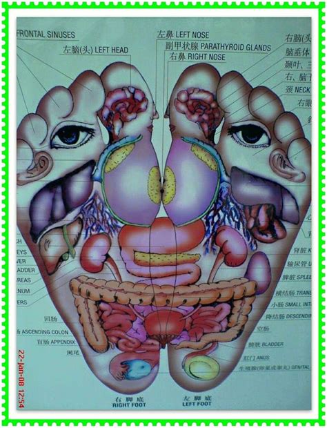 Tidak kira sakit kaki kiri atau kanan, semuanya akan mendatangkan masalah dan ketidakselesaan kepada individu terutama anda yang aktif dalam fasciitis plantar adalah salah satu penyebab sakit kaki kiri dan kanan kaki yang paling biasa terjadi. URUT TRADISIONAL: FUNGSI TAPAK KAKI