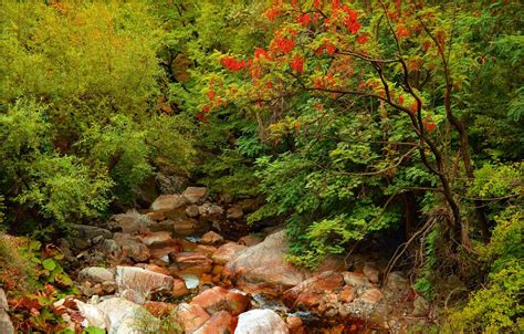 Wallpaper Autumn Forest Stones Fall River Autumn Colors River