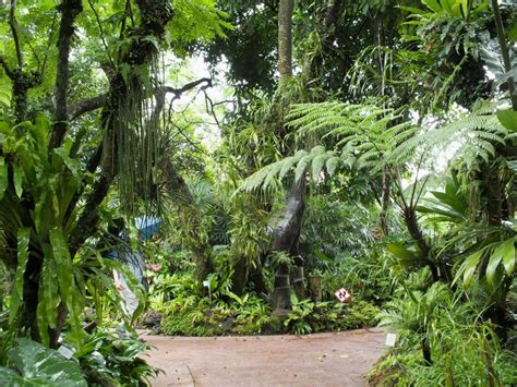 Alternative Eden Exotic Garden Escape In The Jungle At Singapore