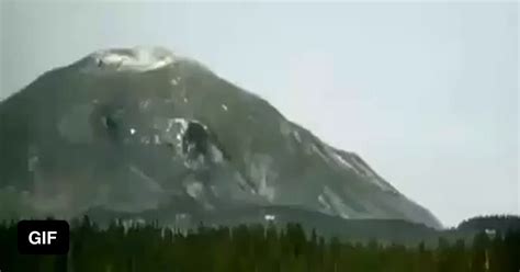 41 Years Ago Mt St Helens Erupted Triggering One Of The Biggest