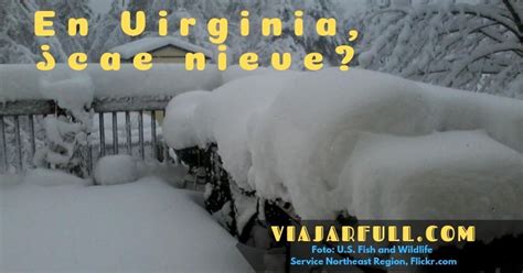 Aug 22, 2020 · en brasil no están acostumbrados a pasar frío y mucho menos a que nieve; ¿Cae nieve en Virginia, Estados Unidos?