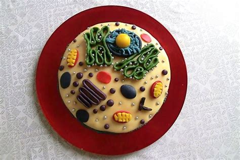 Check spelling or type a new query. Cell Cake! You can only eat it if you can name it ...