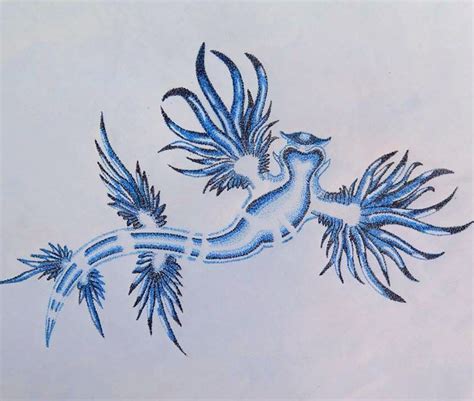 Well I Finished This Drawing Its A Nudibranch Glaucus Atlanticus