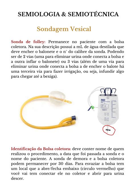 Sondagem Vesical De Demora Semiologia Urol Gica