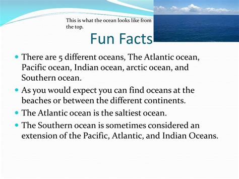 Pacific Ocean Facts For Kids