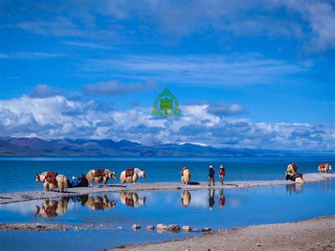 Namtso Day Tour Tips Top Tips To Know Before Travel To Namtso Lake