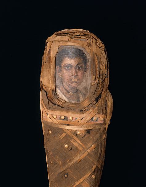 Portrait Mummy Of A Youth Museum Of Fine Arts Boston