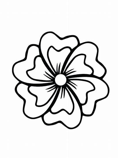 Flower Jasmine Drawing Coloring Pages Clipartmag