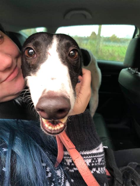 Search results for www.stwl.xyz ðÿ'— dating family members is called what ðÿ'— www.stwl.xyz ðÿ'— ðÿ'— dating family members is called what. New family member. This is my ex racer girly called cookie ...