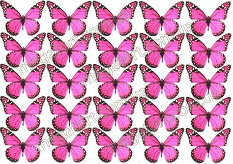 Бабочки картинки для распечатки на листе а4