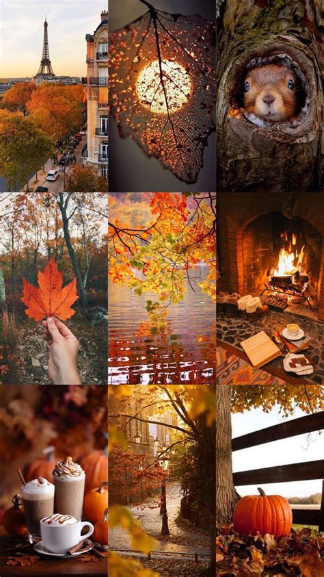 50 Cozy Fall Collage Wallpaper