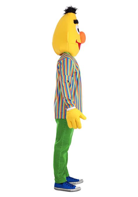 Sesame Street Bert Adult Costume
