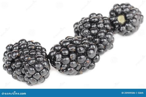 Blackberries Stock Photo Image Of Juicy Group Dessert 20909586