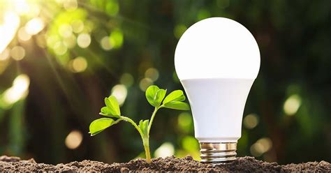 Consider Energy Efficient Lightbulbs In Your Home