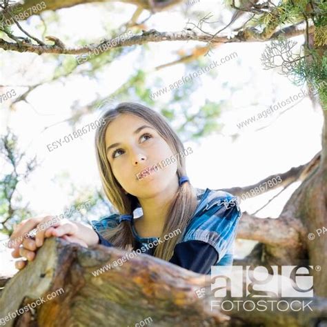 Portrait Of Tween Girl In Tree Stock Photo Picture And Low Budget