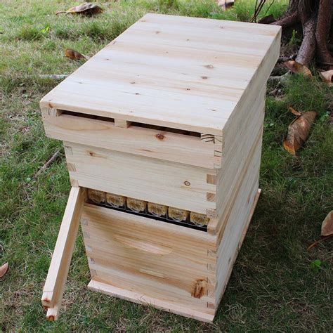 Buy Removeable Wooden Beehive Box House Hive Boxes Bee
