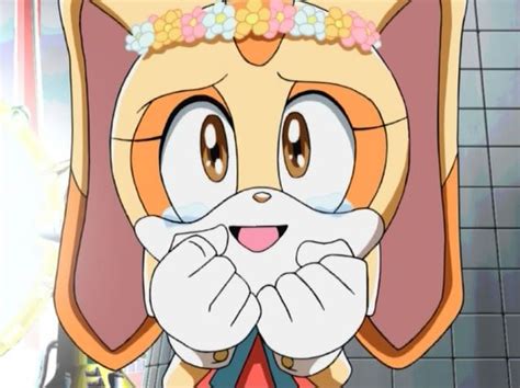 1 bio 2 looks 3 outfits 4 personality 5 appearances 6 trivia rebecca rabbit is the daughter of mummy rabbit, the granddaughter ofgrampy rabbit and the older sister of richard, rosie and robbie rabbit. Pin on Sonic X