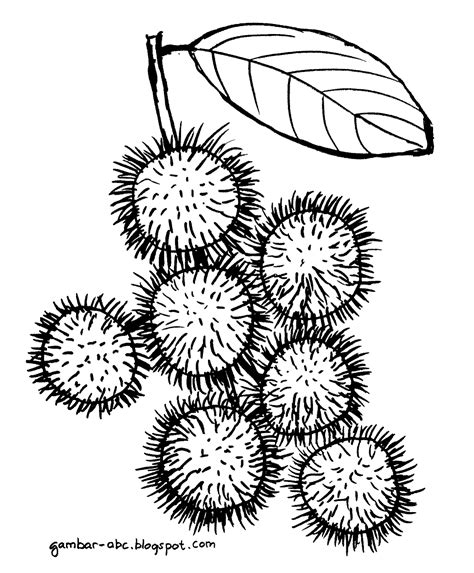 Find more coloring pages online for kids and adults of lol doll fancy glitter coloring pages to print. Buah Rambutan - Contoh Gambar Mewarnai