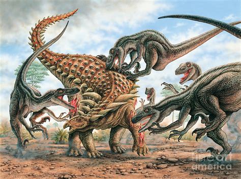 Sauropelta And Utahraptors Painting By Phil Wilson