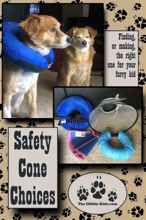 Are you searching for homemade dog cone ideas? Pin on Cute Dogs