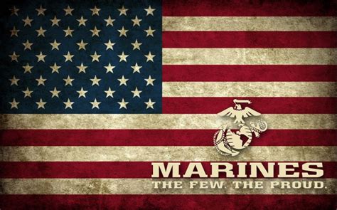 Free Download Usmarine Marine Corps Wallpaper 29734829 1024x768 For